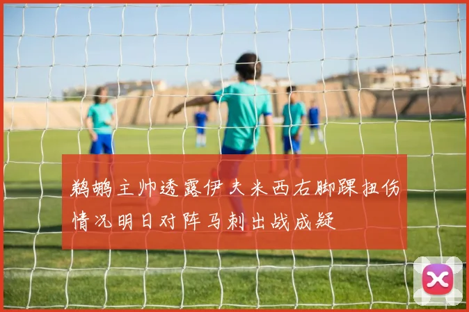 鹈鹕主帅透露伊夫米西右脚踝扭伤情况明日对阵马刺出战成疑