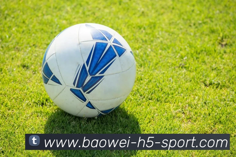 宝威体育平台生态图